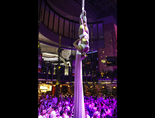 Aerialists Brisbane - Trapeze Artists - Aerial Entertainment